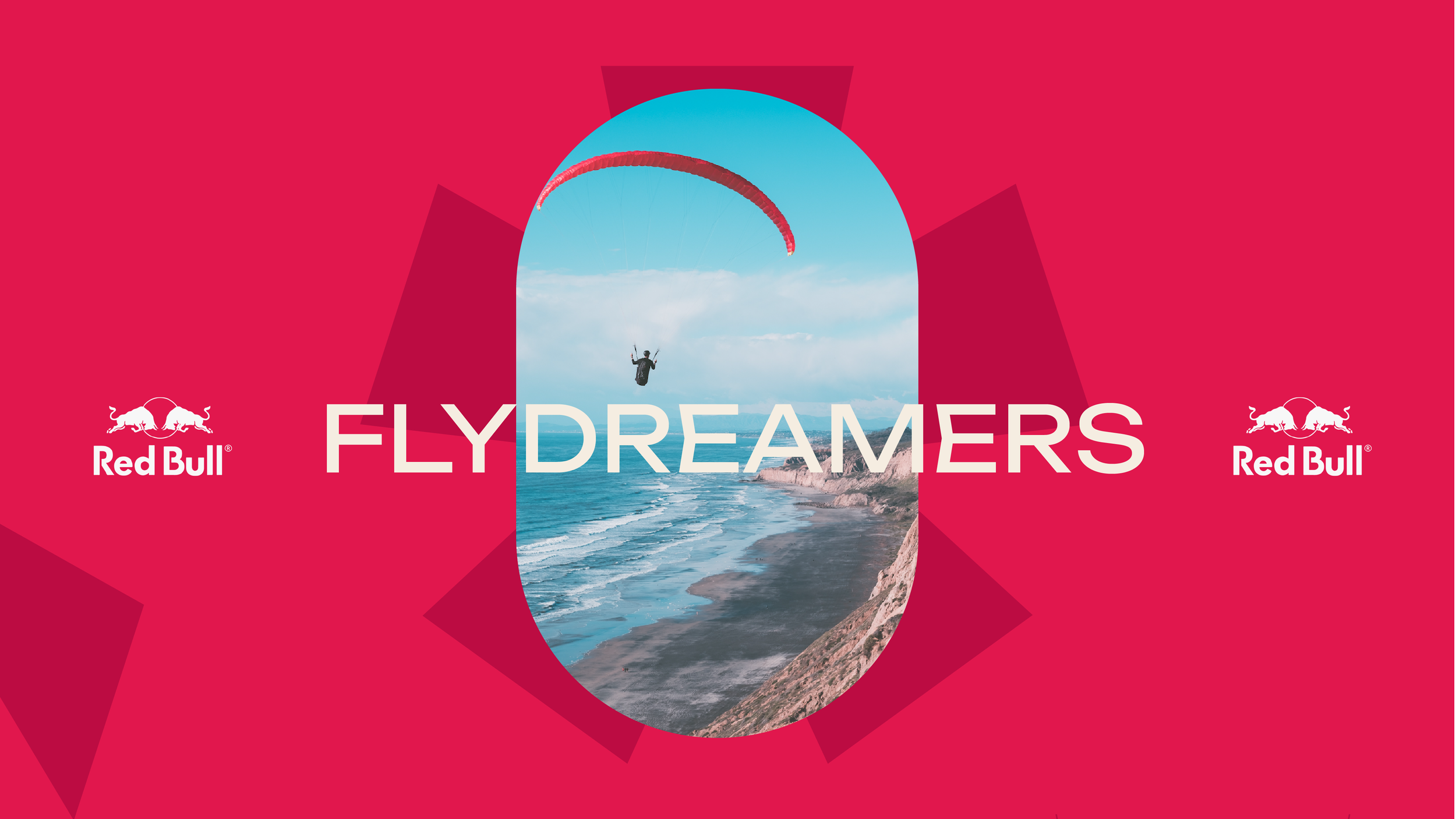 Red Bull Flydreamerss V3-01.png