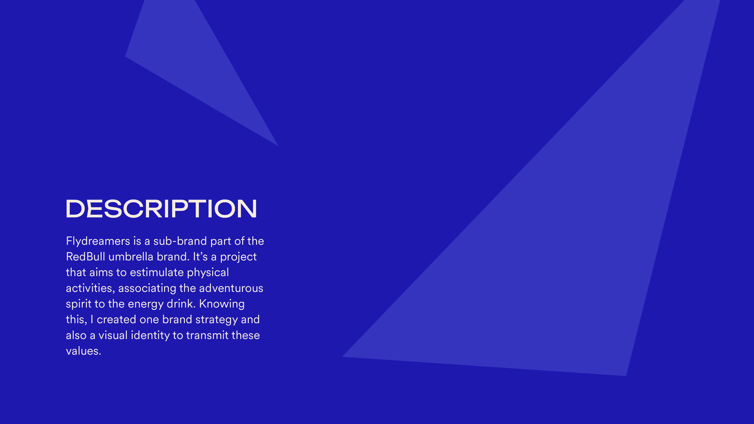 Red Bull Flydreamerss V3-03.png