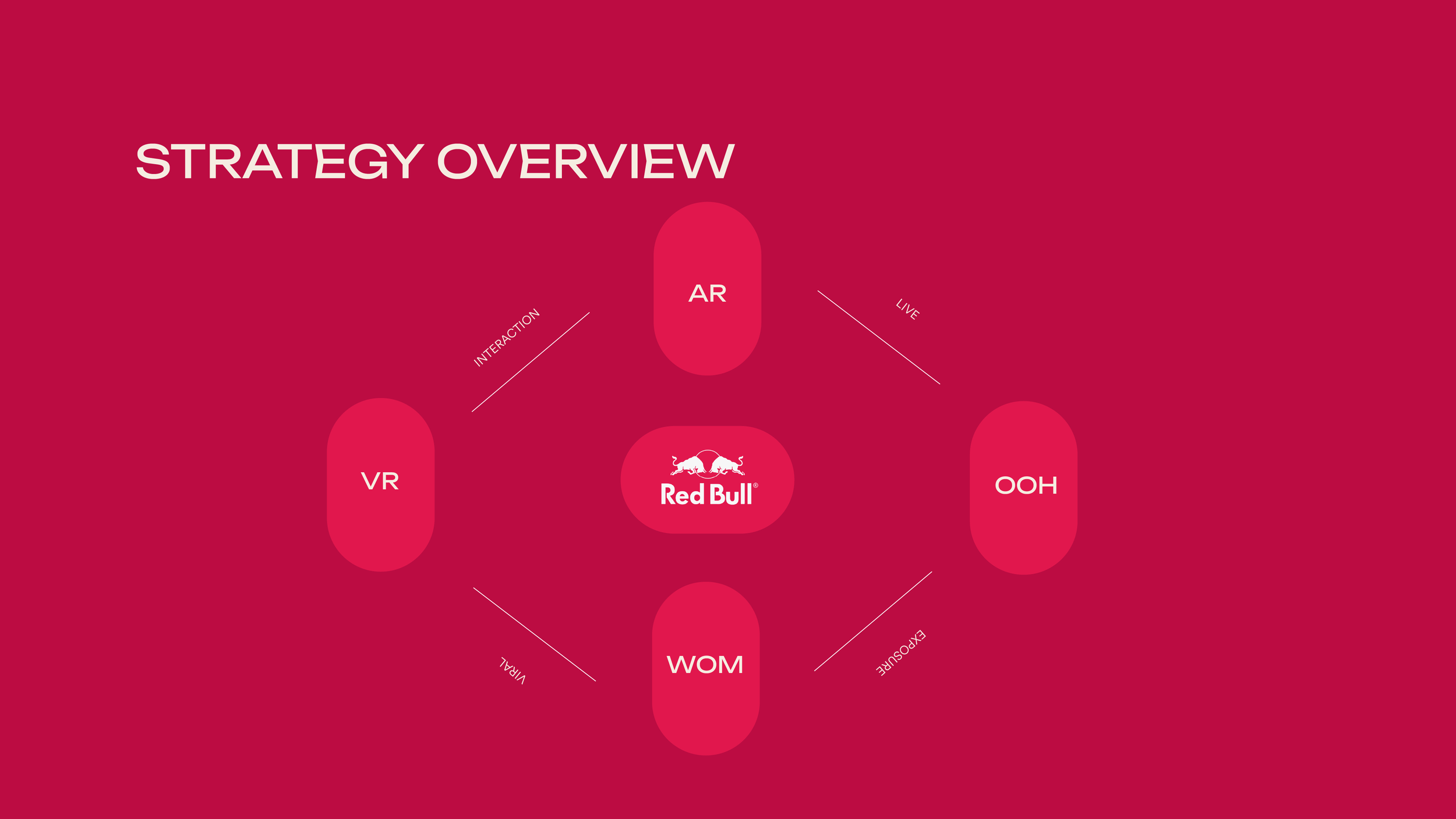 Red Bull Flydreamerss V3-06.png