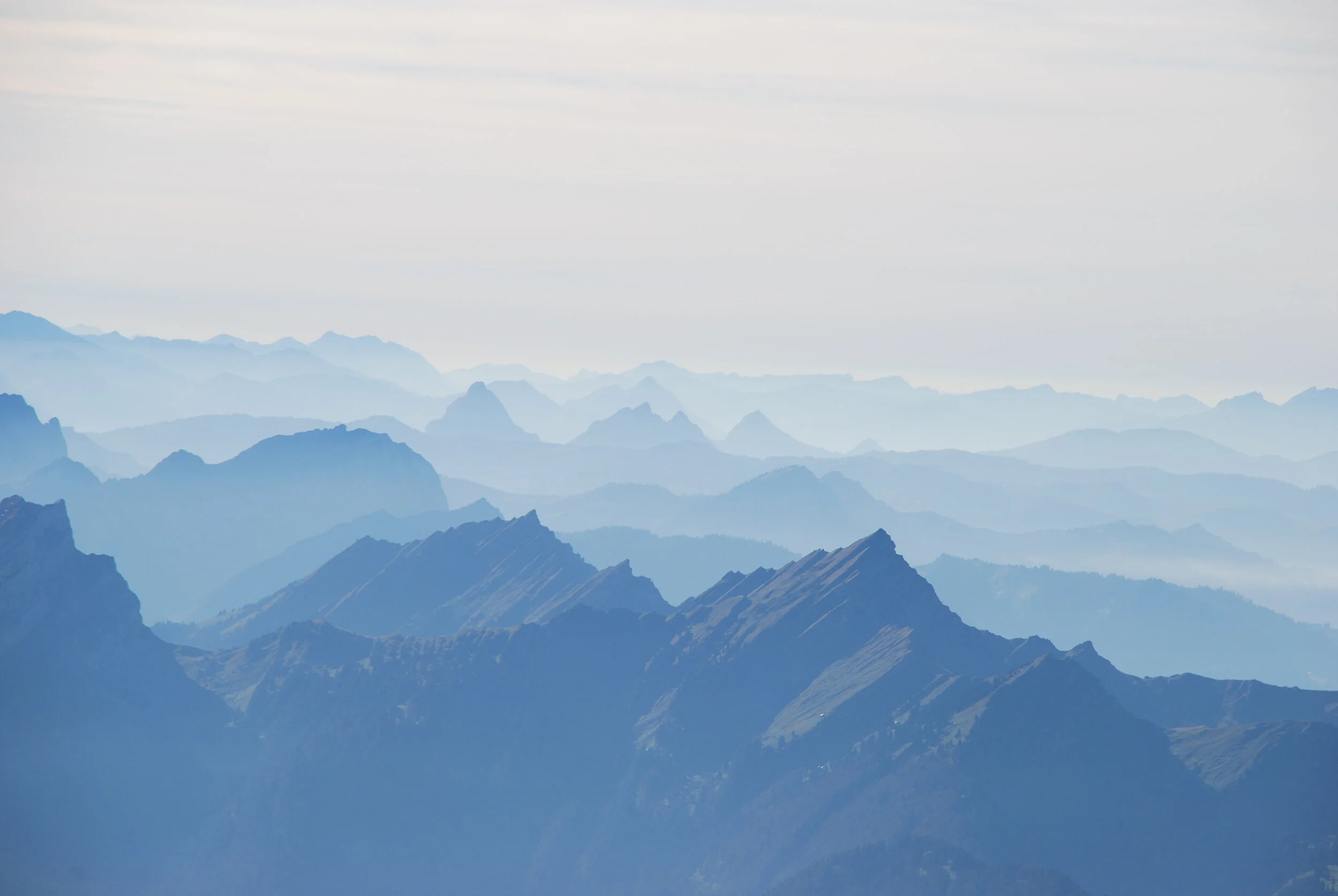 iStock-517866756.jpg