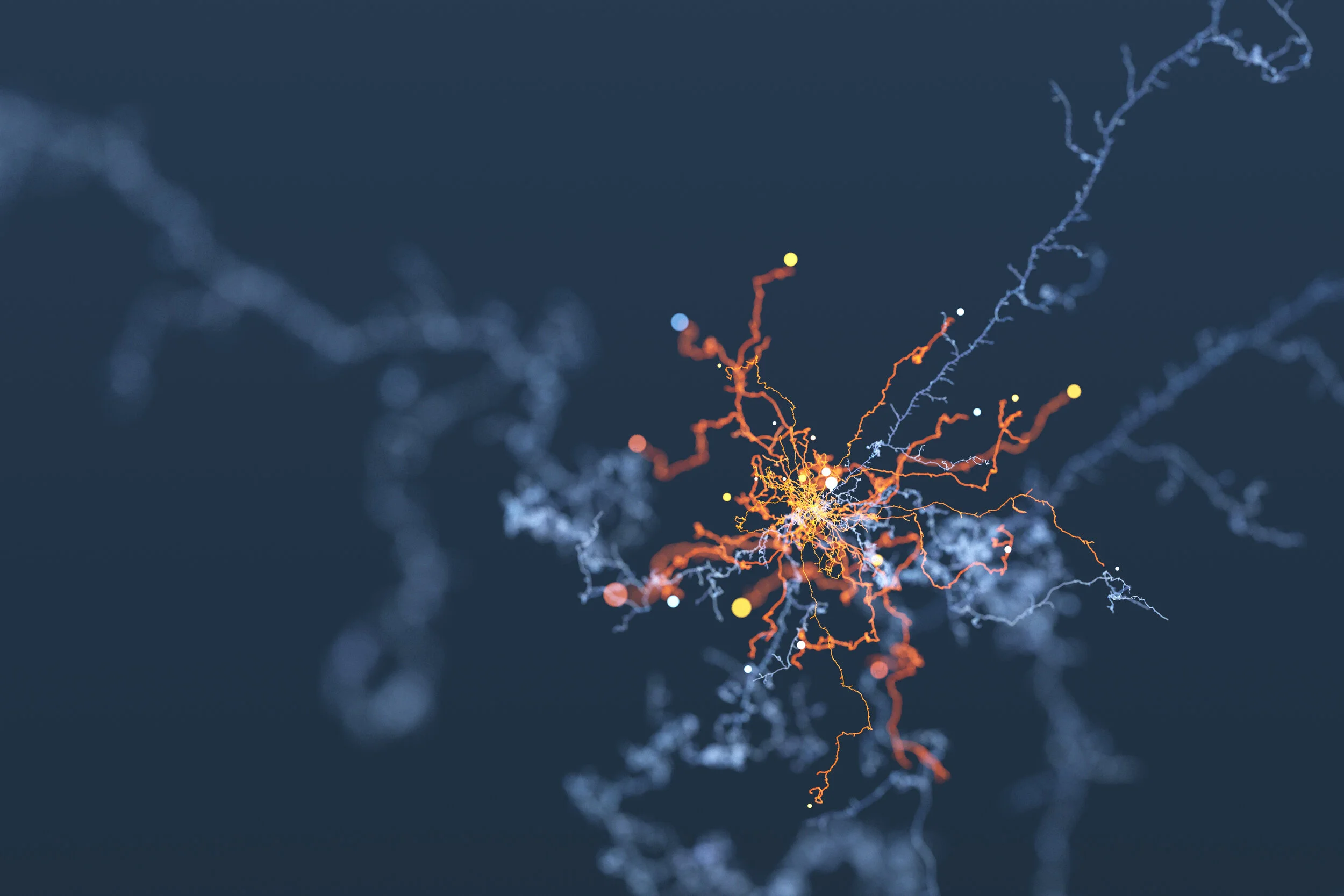 synapses, connections.jpg