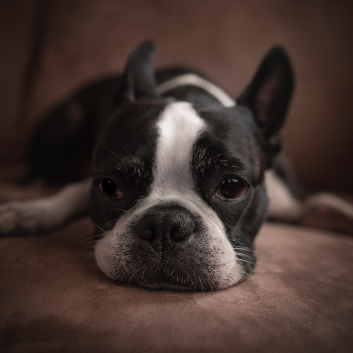 #ThinkfullyHabit: Be bored