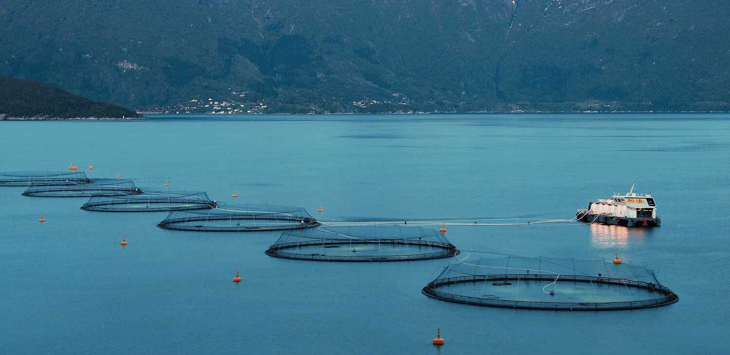 Partnering with the Aquaculture Industry