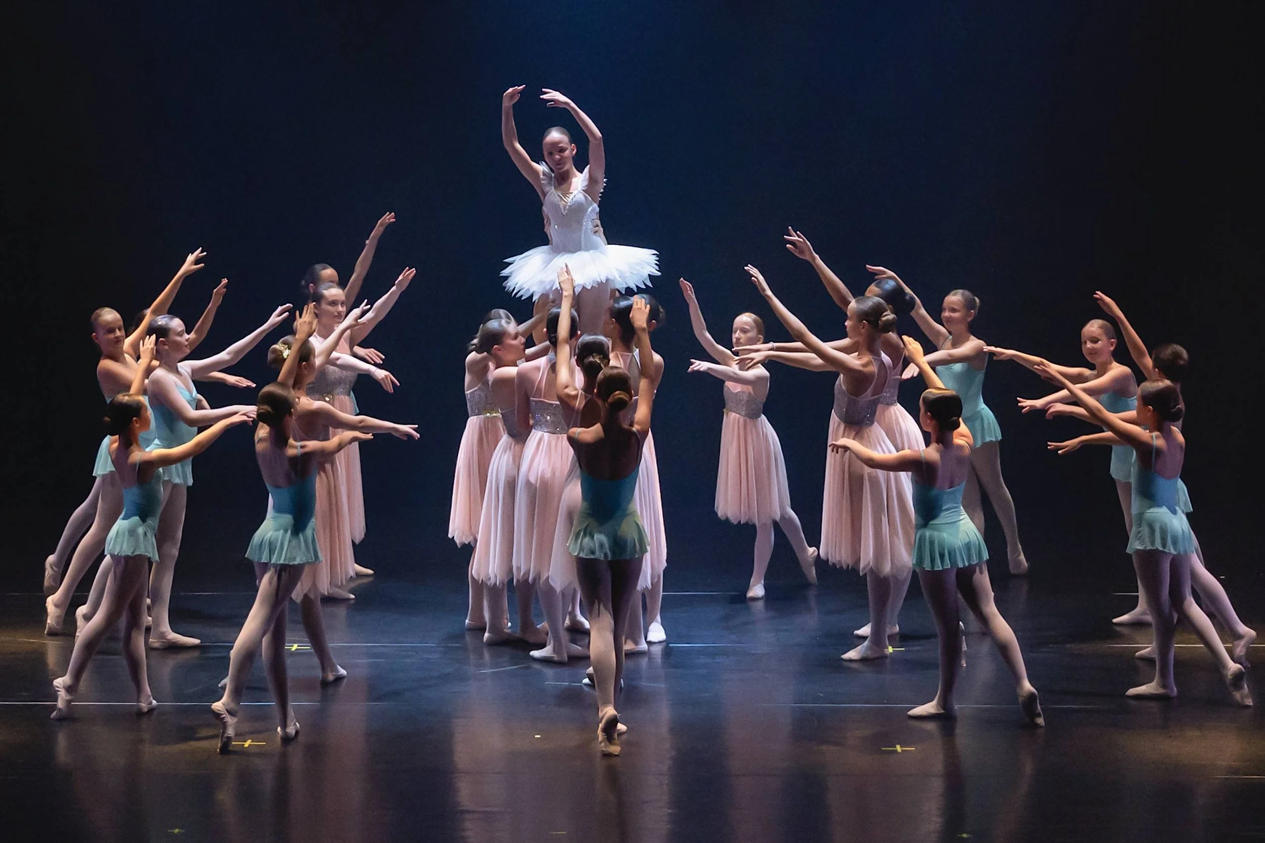 _DSC0090_hr cut.jpeg