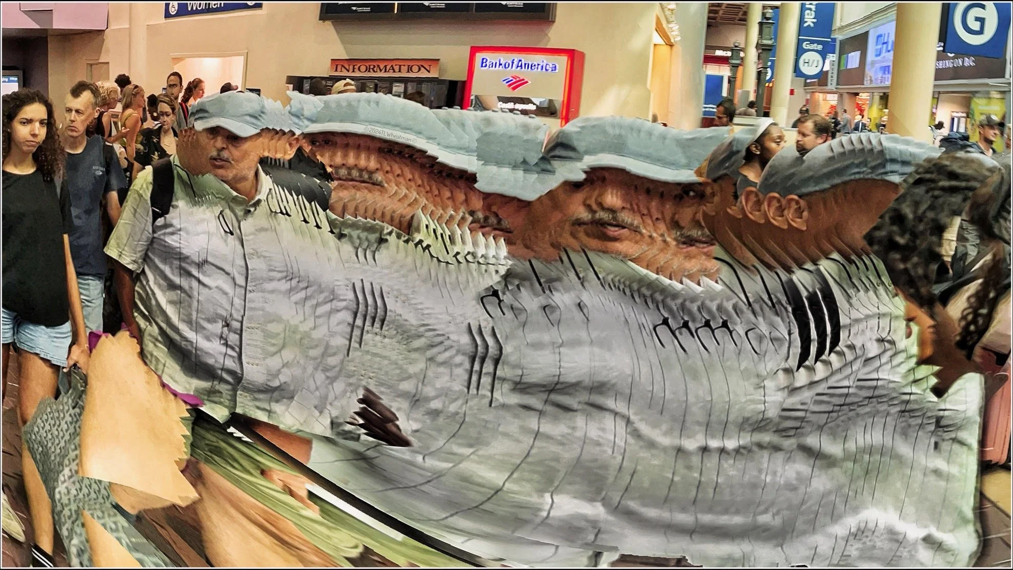 Panography
