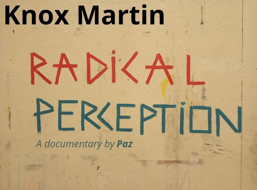 "Radical Perception" a documentary by PAZ