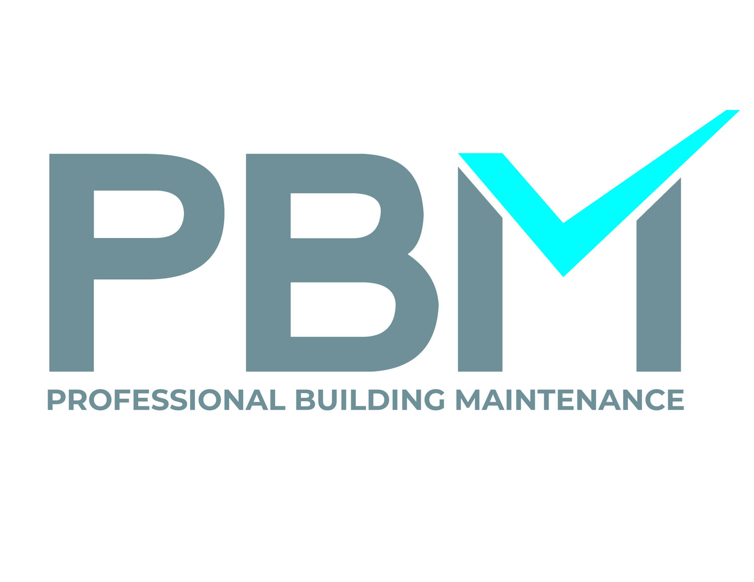 Professional Building Maintenance 