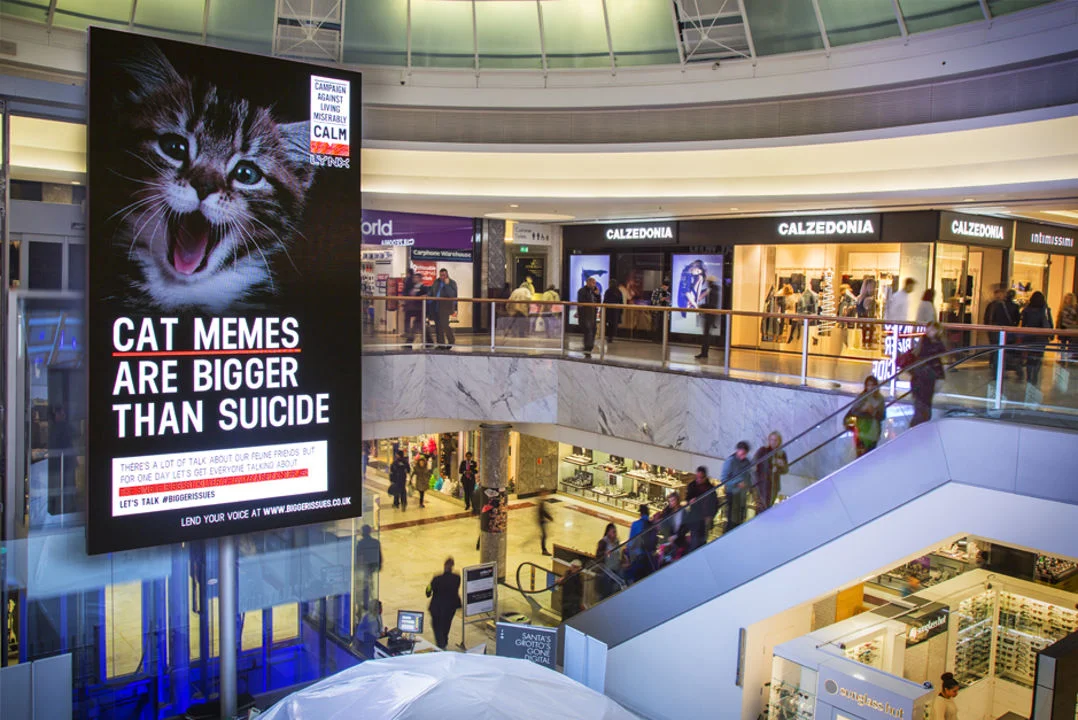 Lynx+CALM Cat Memes.jpg