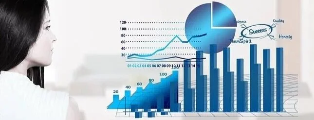 Financial Analytics and the Implications of the Theory of Constraints (TOC)