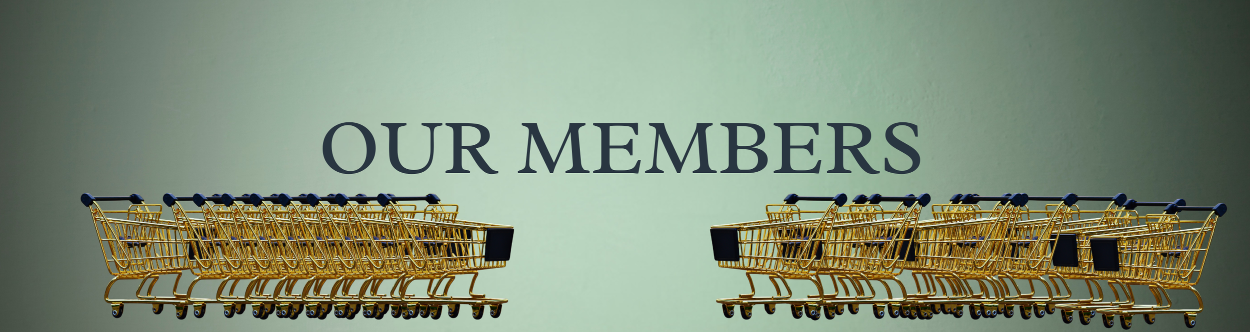 1 NSA Add a heading (3).png