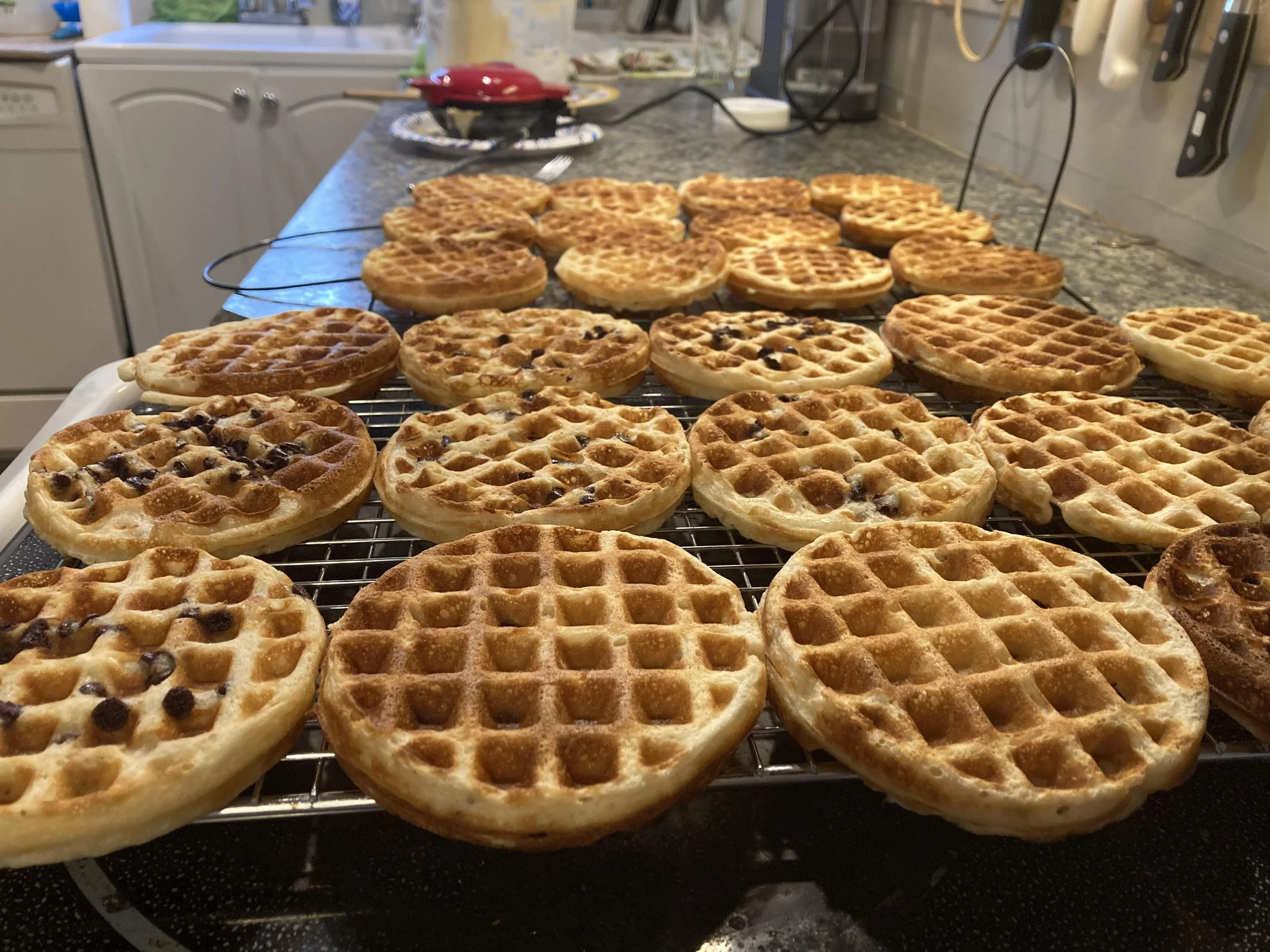 Yeasted Waffles — Omnivore's Quivers