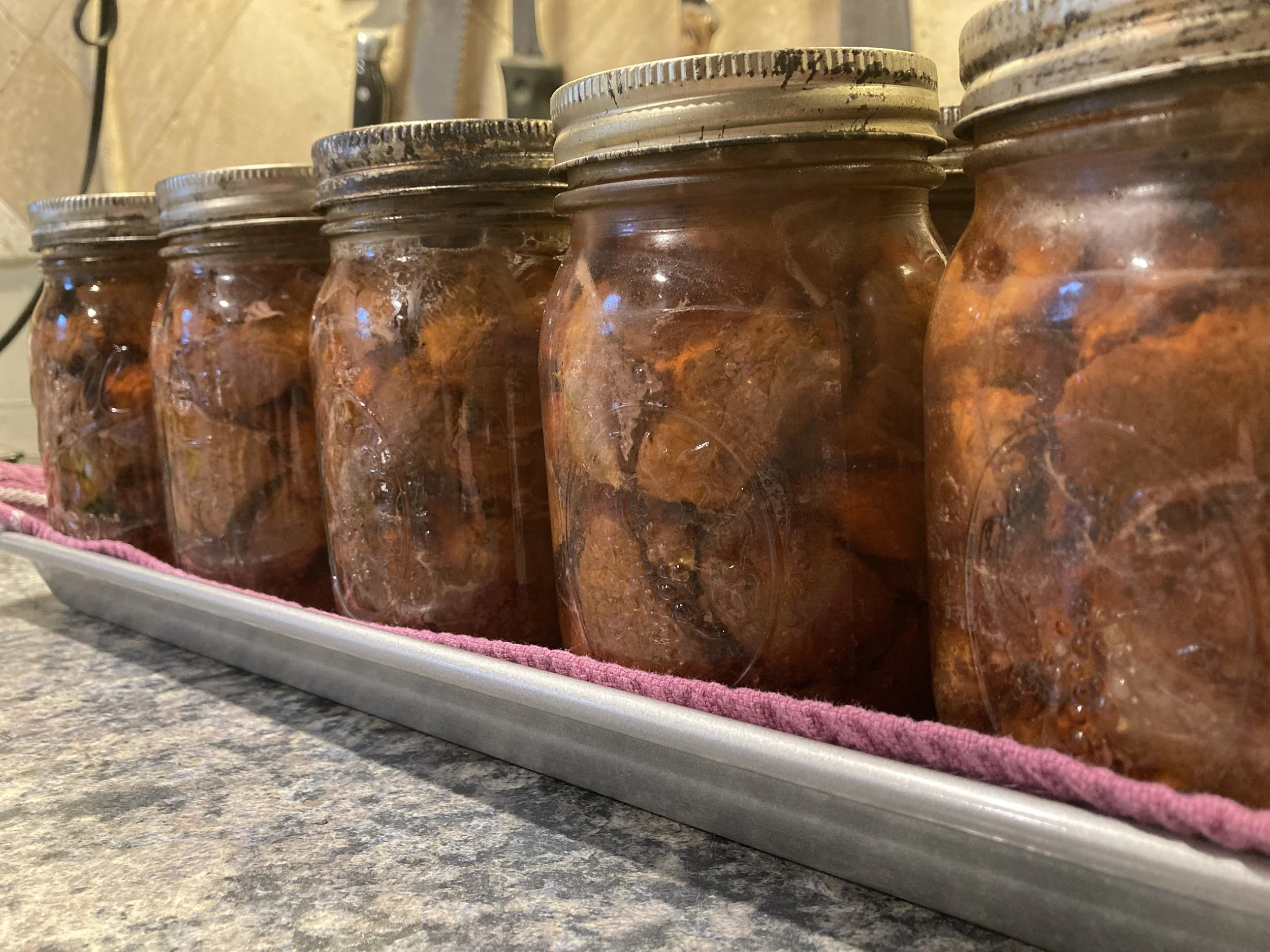 Pressure Canned Venison — Omnivore's Quivers