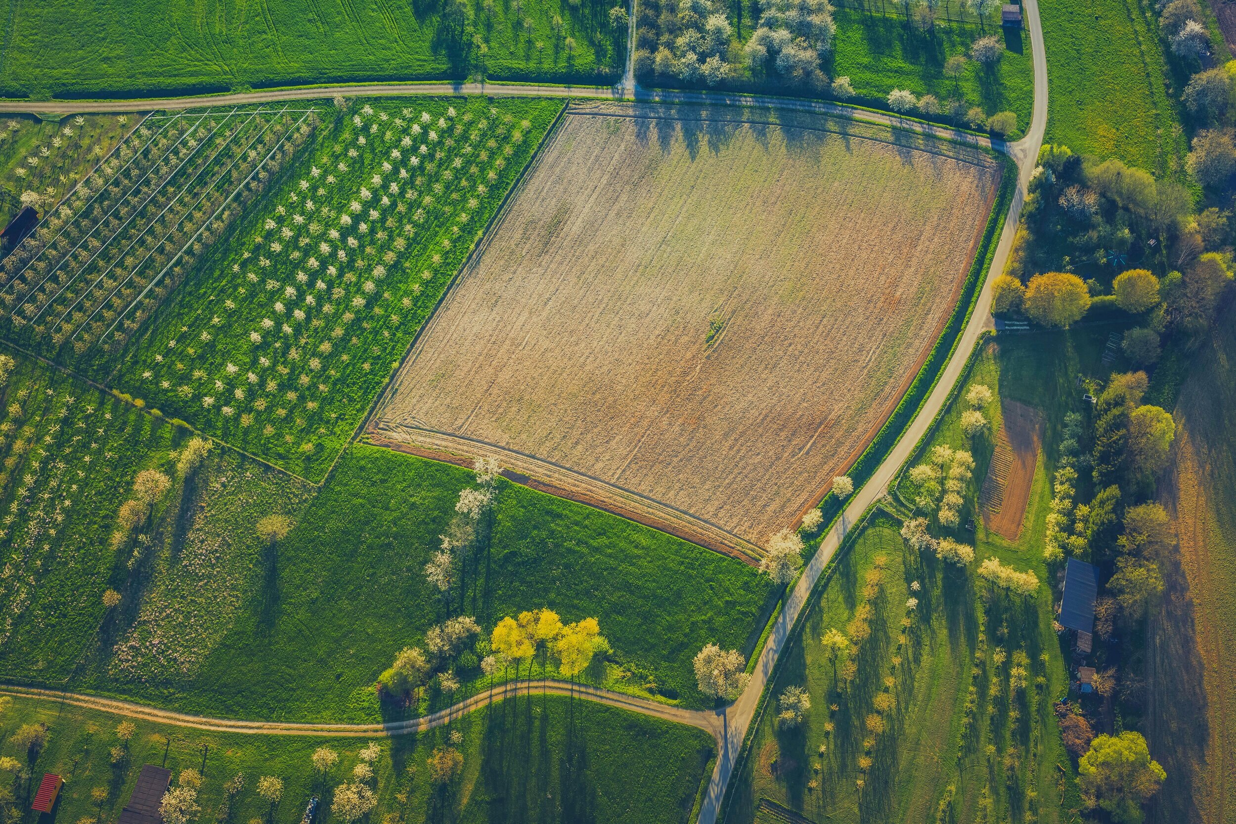 Publications — Conservation Irrigation Lab