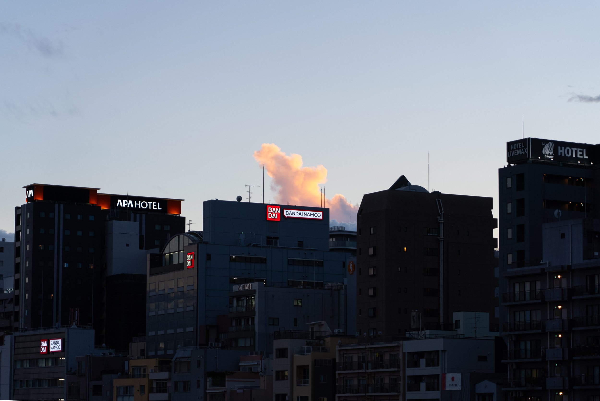 DSC00312-12.jpg