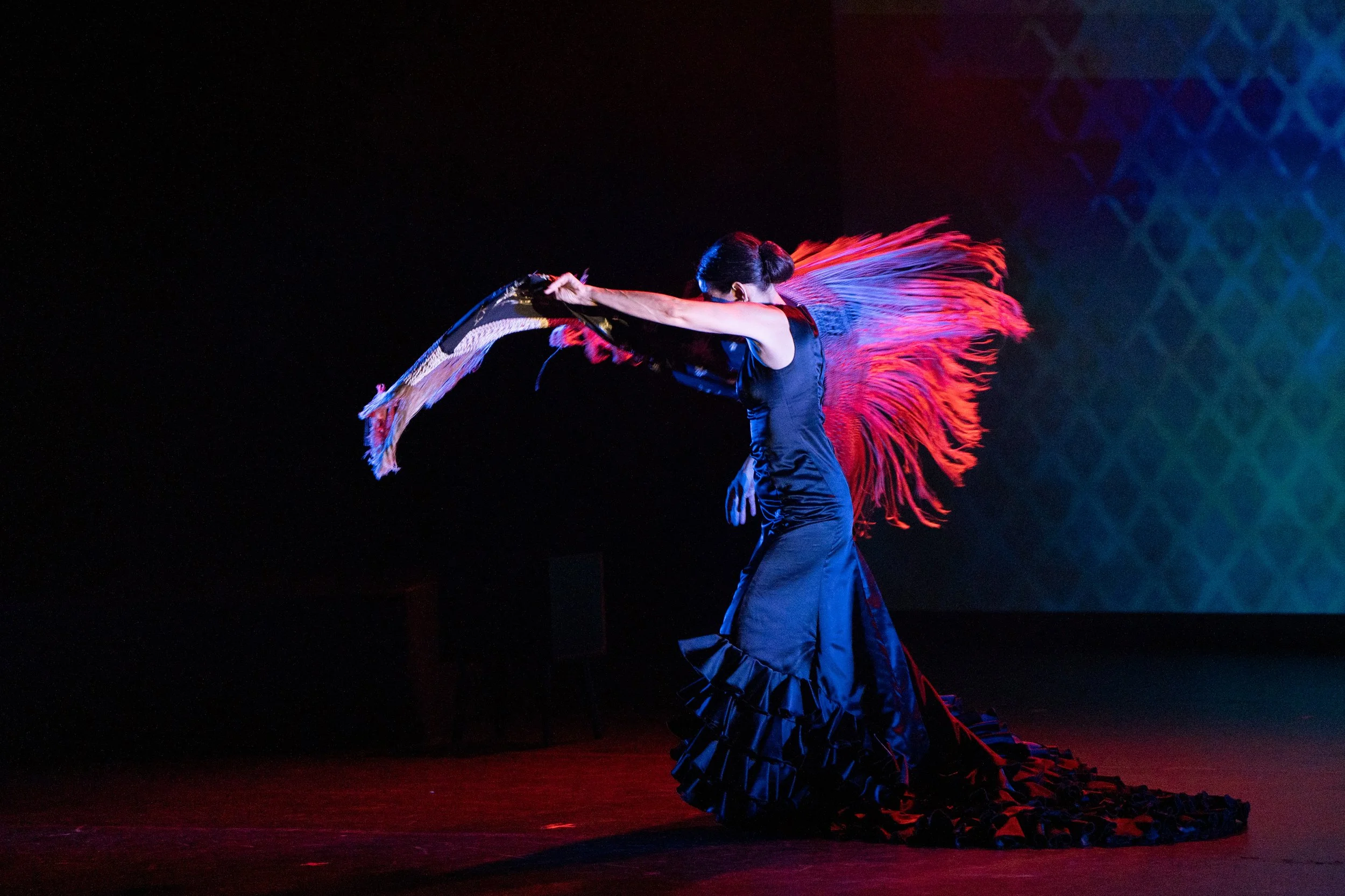 DVE04041-3.jpg