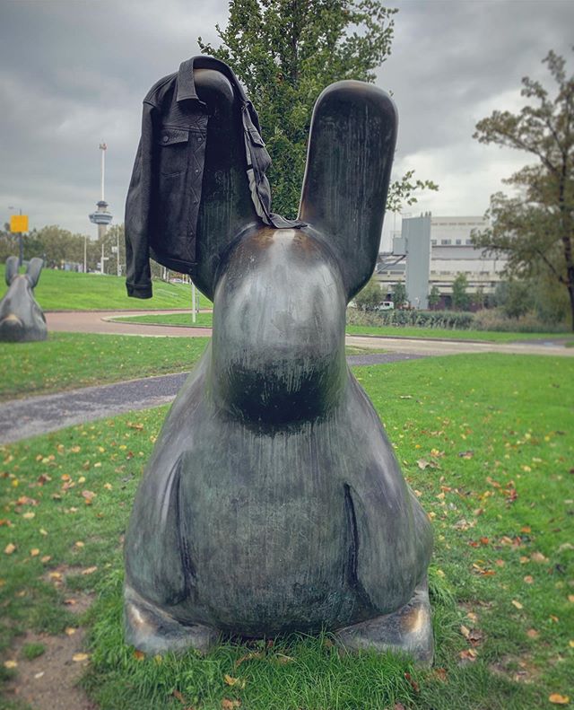 Bunny fashion #iknowitsnoteasteryet #canthelpitthough #toocute .
Model_ the bronze rabbit wearing Akira - deer leather trucker jacket
.
#leatherjacket #deer #reusedleather #madeinjapan #truckerjacket .
#tomclaassen #rotterdam #kunst #dutchart