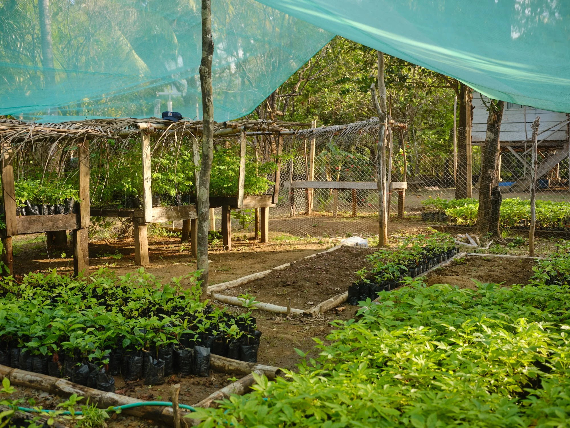 AlexandraCliment_PlayaMuertoNursery_NicholasMehedin_314_DSF2567.jpg