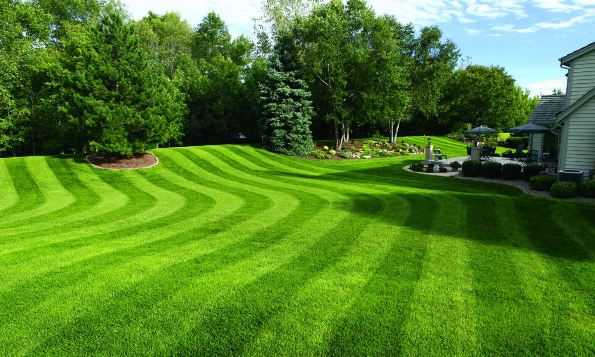 Lawn Care