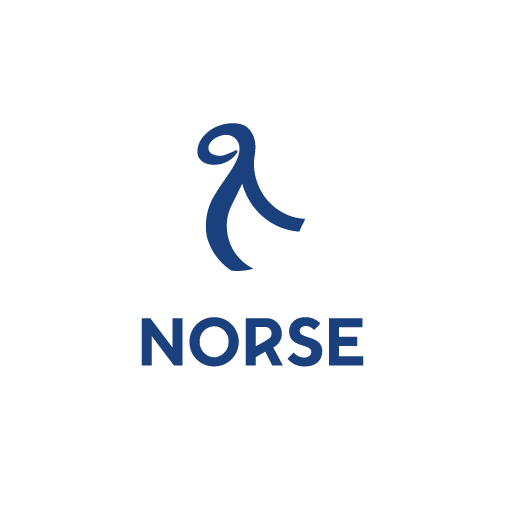 Norse-FAA-ForeignAirlines.png