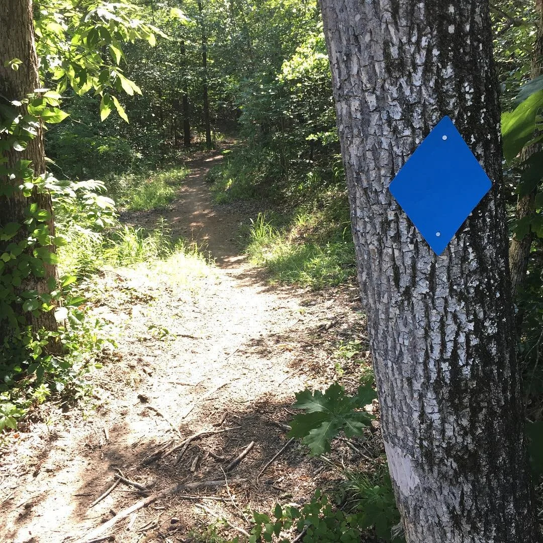 Much More — Johnston Woods