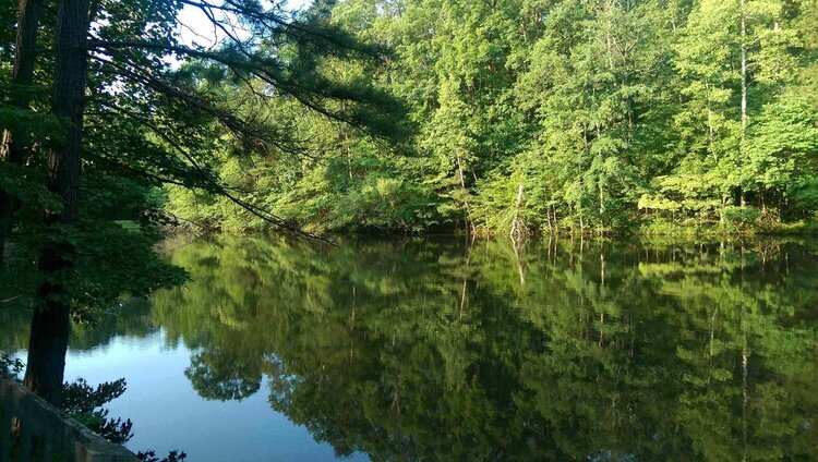 Johnston+Woods+Pavilion+Lake.jpg