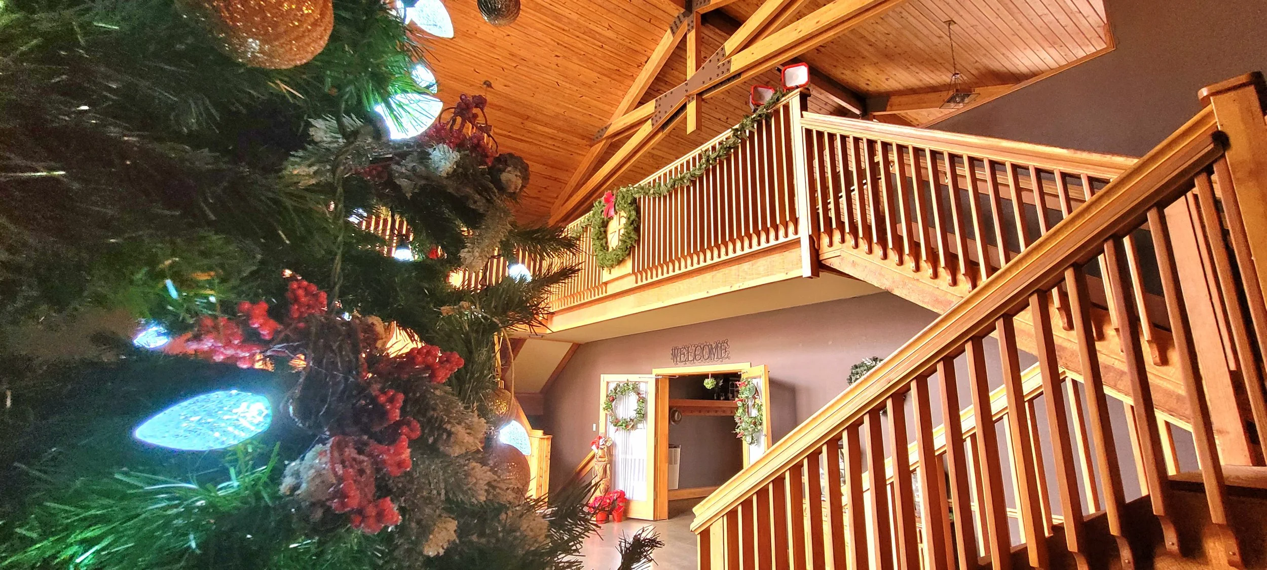 Christmas At Johnston Woods