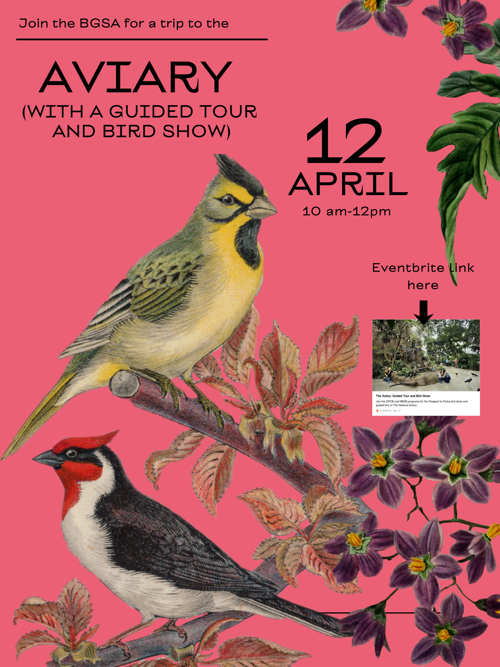 A visit to the National Aviary with the BGSA!