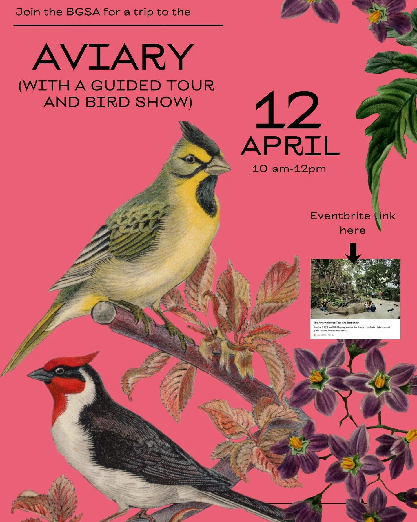 We&rsquo;re excited to invite you to join us on Sunday, April 12, 2026, for a visit to the National Aviary! This event will include a guided tour, a live bird show, and time to explore the aviary at your own pace.
 
 **Event Schedule**
 10:00 &ndash;