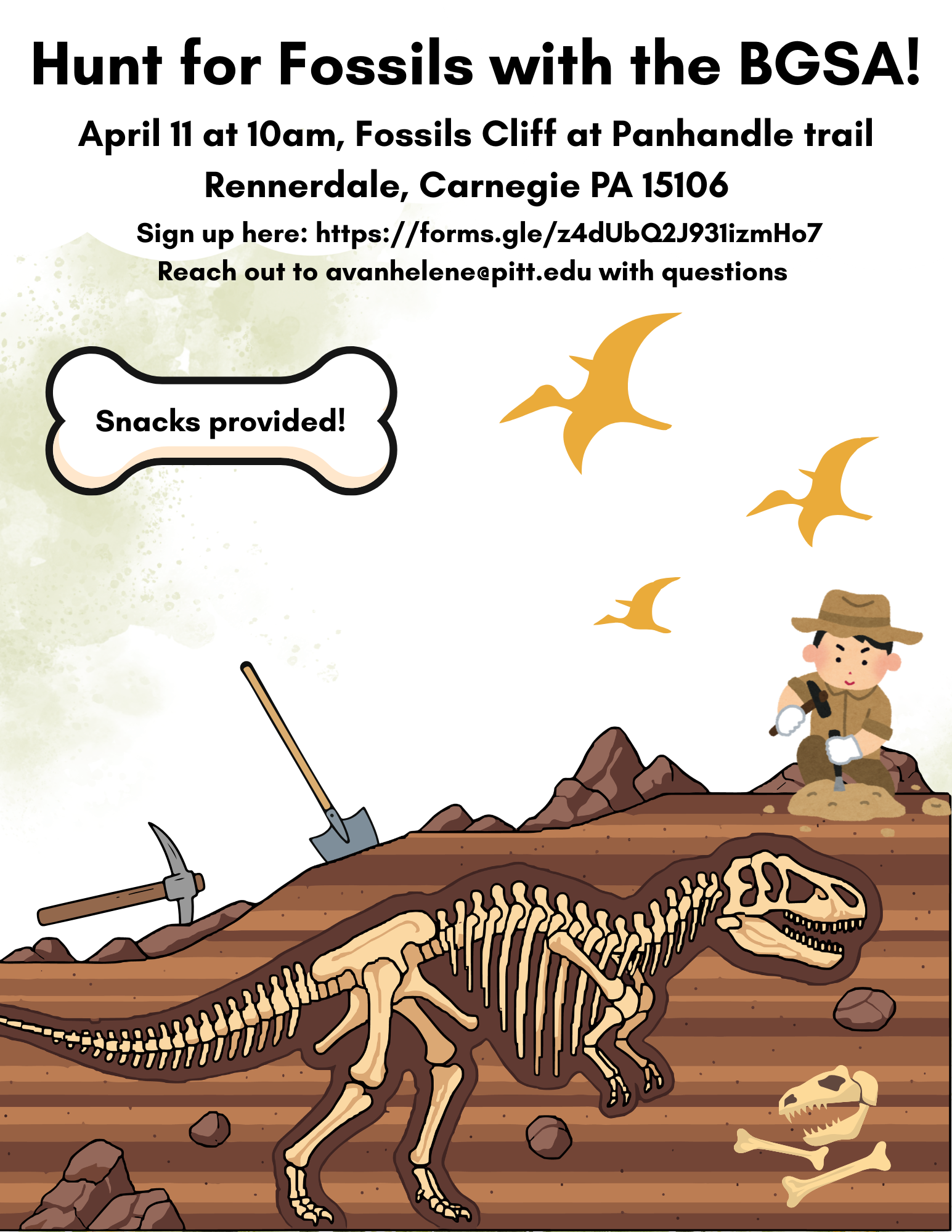 Hunt for Fossils with the BGSA