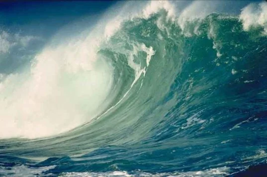 Surviving the Tsunami of Cultural Change... The Church in Transition