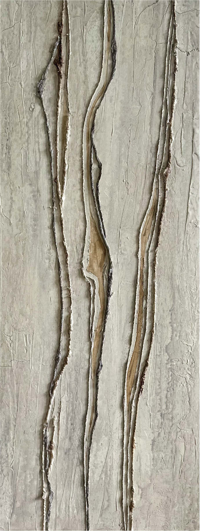 Silver Birch II.png