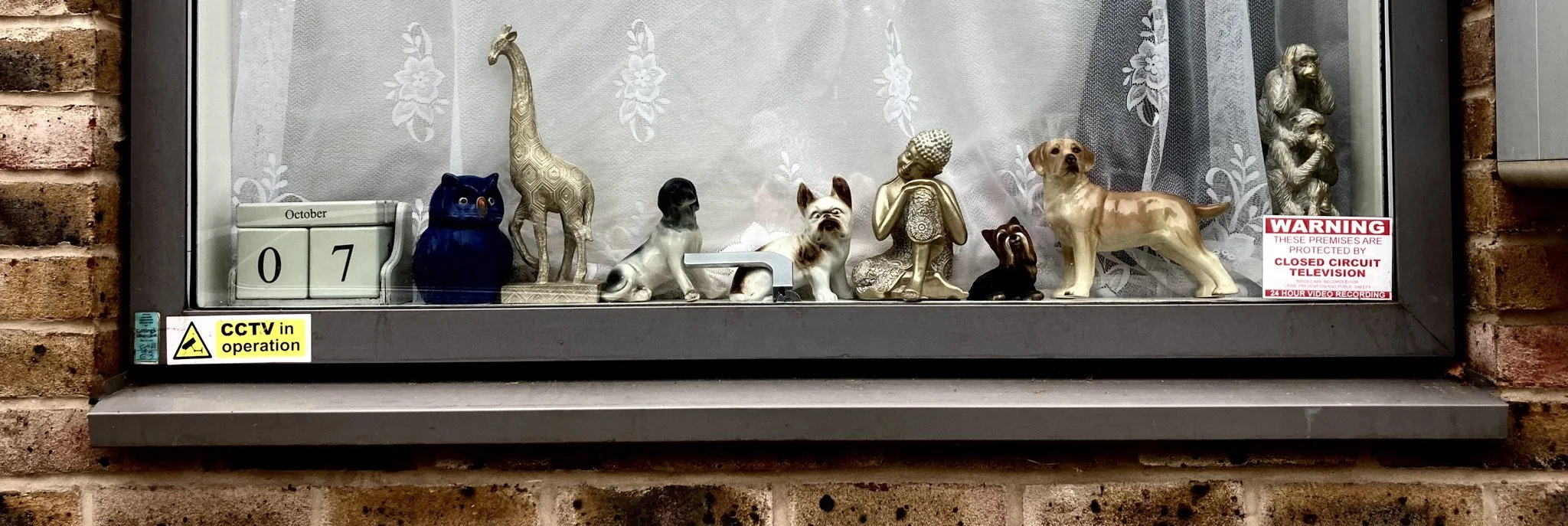 And on the Seventh Day