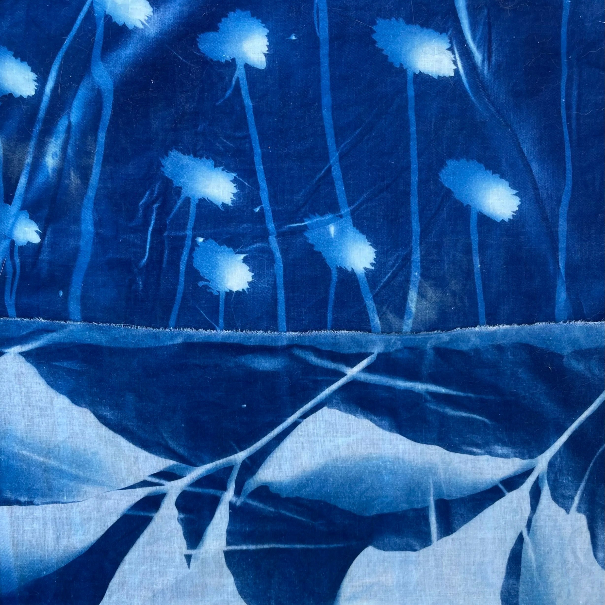 Fabric chemically dyed dark blue by light (cyanotype) with light blue to white botanical shapes printed.