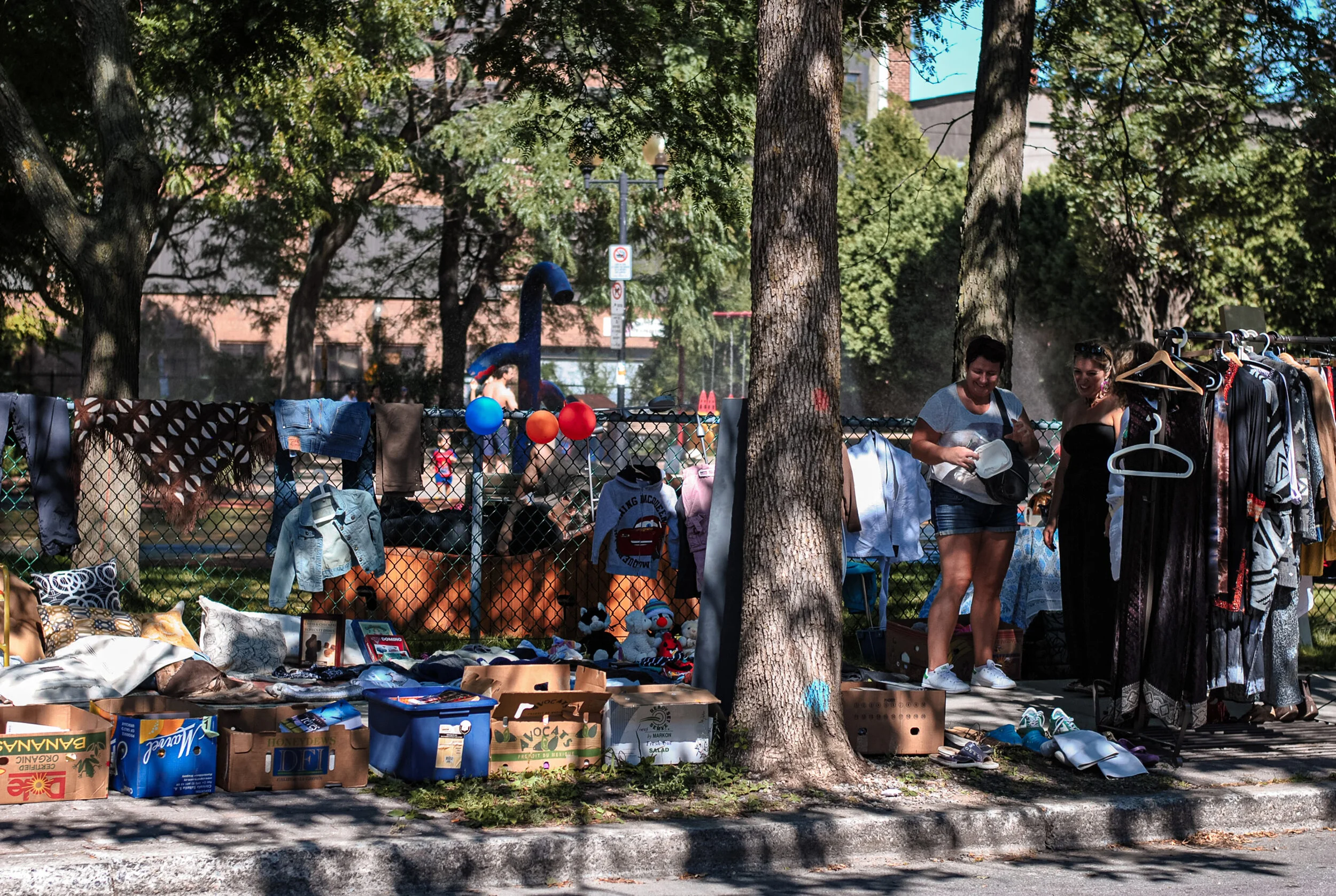 DSC_0717-2.jpg