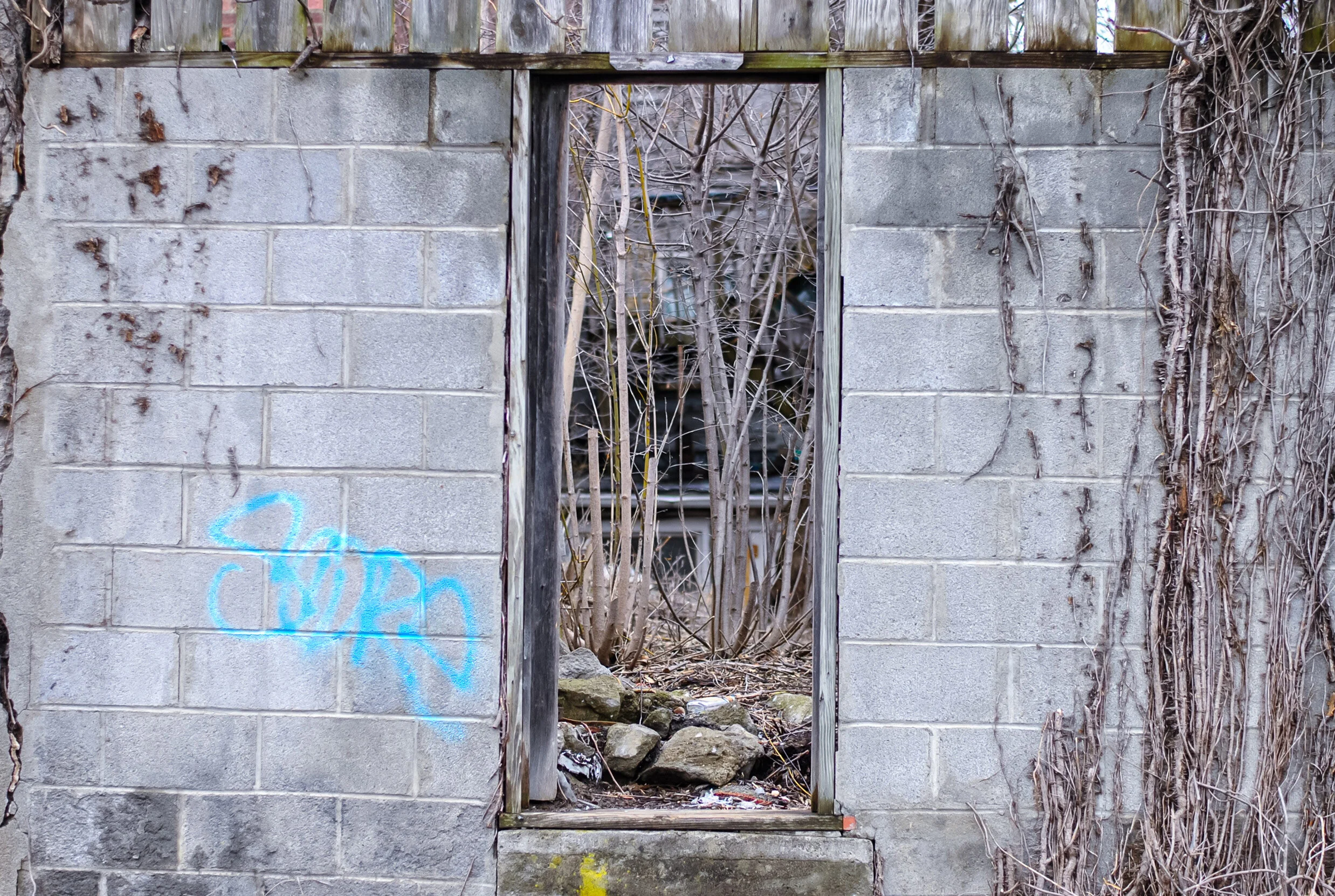 DSC_0083.jpg