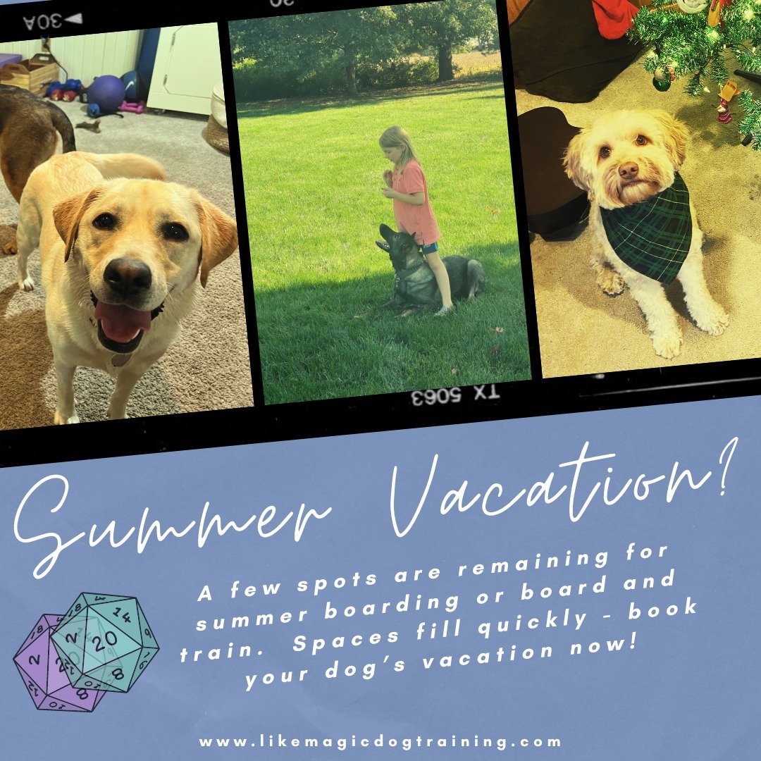 Incredibly (you're all AMAZING) I have only a few weeks of summer currently available for booking.  If you're looking ahead towards summer vacation like I am, make sure to arrange boarding for your best pal, too! 

In-home boarding businesses book ea