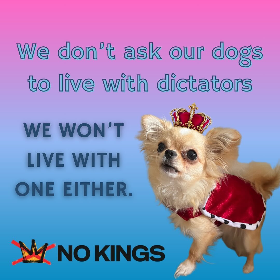 Riz might be wearing a crown, but around here, we don&rsquo;t believe in kings. Not in training, and not in government.

We believe in relationships, not rulers. In consent, not control. In voices raised, not silenced.

If you&rsquo;re watching the w