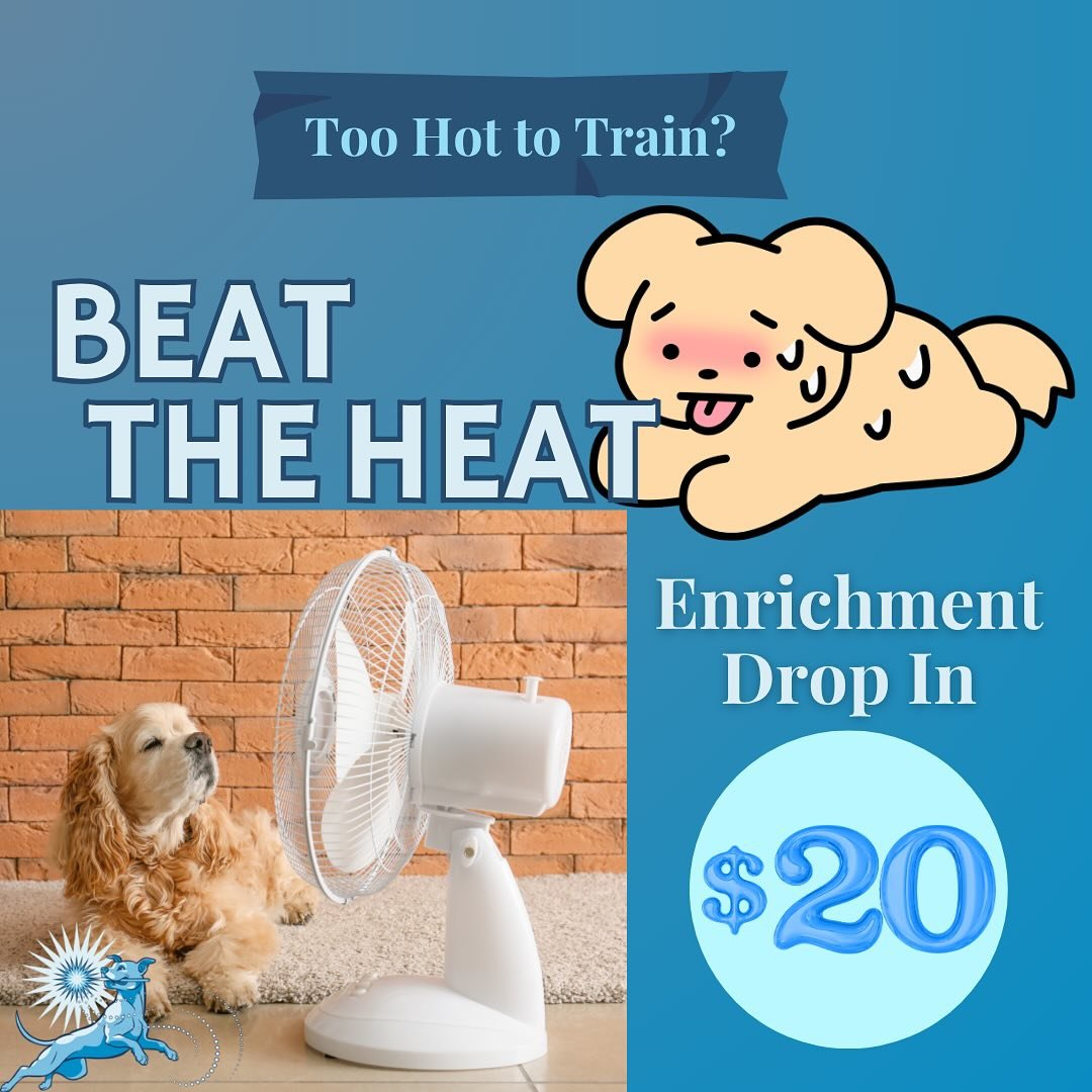 🥵 Too hot to hike? Let&rsquo;s train inside.

Tonight&rsquo;s Level Up Hike is canceled due to the heat &mdash; but we&rsquo;re not giving up on enrichment.

🔥 Instead, I&rsquo;m hosting a pop-up &ldquo;Beat the Heat: Enrichment Drop-In&rdquo; &mda
