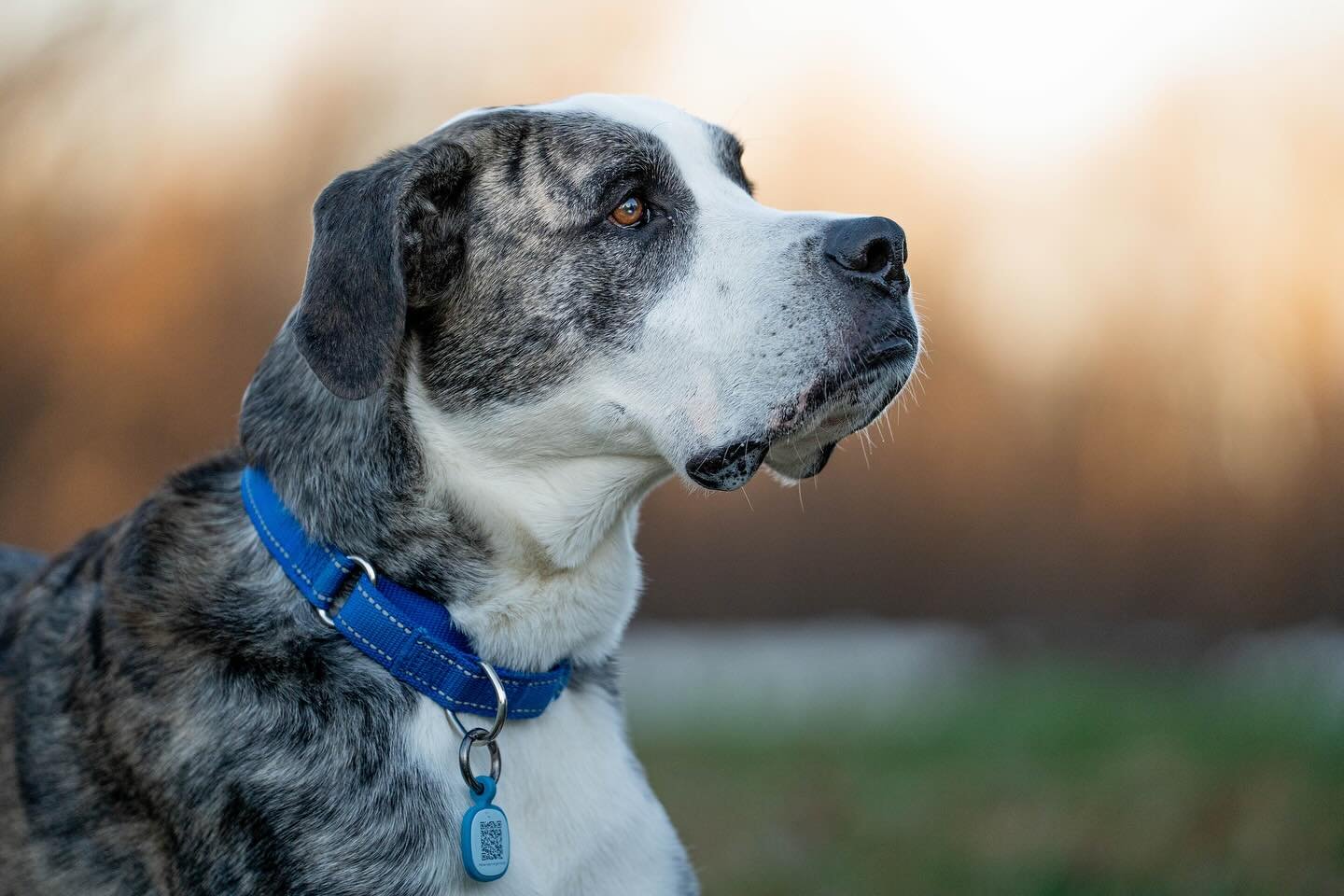 Cora got to take some pictures today with the wonderful @alysemineroff.photography
