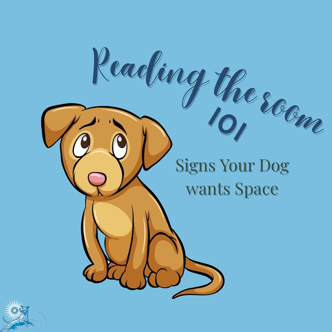 5 Signs Your Dog Is Asking for Space:

Communication isn&rsquo;t just cues and treats &mdash; it&rsquo;s noticing the little shifts before they get loud.

What&rsquo;s one subtle signal your dog gives you?