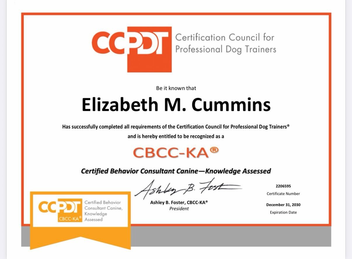 Like Magic leveled up! 🎮 - Got the news this morning that I&rsquo;ve earned my CBCC-KA certification!  That&rsquo;s a &ldquo;Certified Behavior Consultant Canine - Knowledge Assessed&rdquo; - a training qualification by @ccpdt_official 

This creden