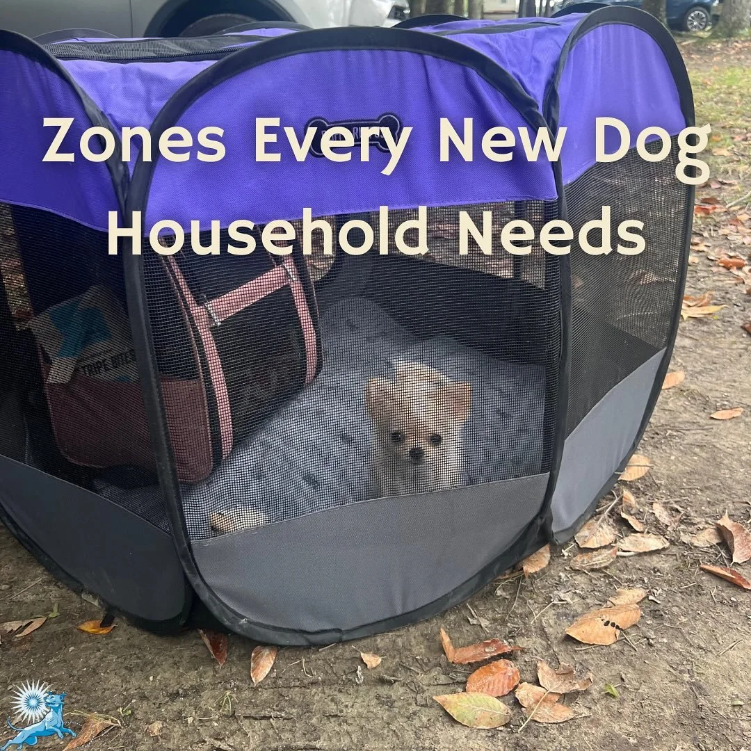 Before manners, before cues, before training&mdash;set the environment.
New dogs need structure, clarity, and safe zones.
Here are the 3 areas I recommend every household create:

🏡 Rest Zones for sleep and decompression
🪟 Visual Boundaries to prev