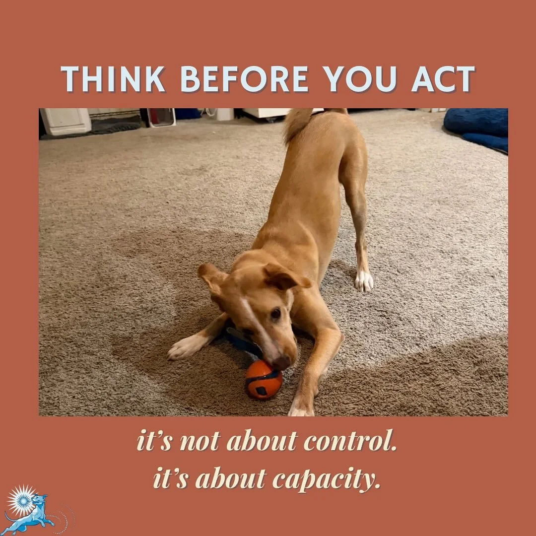 Impulse control isn&rsquo;t your dog &ldquo;behaving&rdquo; or &ldquo;listening better.&rdquo;
It&rsquo;s their ability to regulate emotions, pause, and choose what to do next &mdash; and that ability develops over time, with practice and support.

A