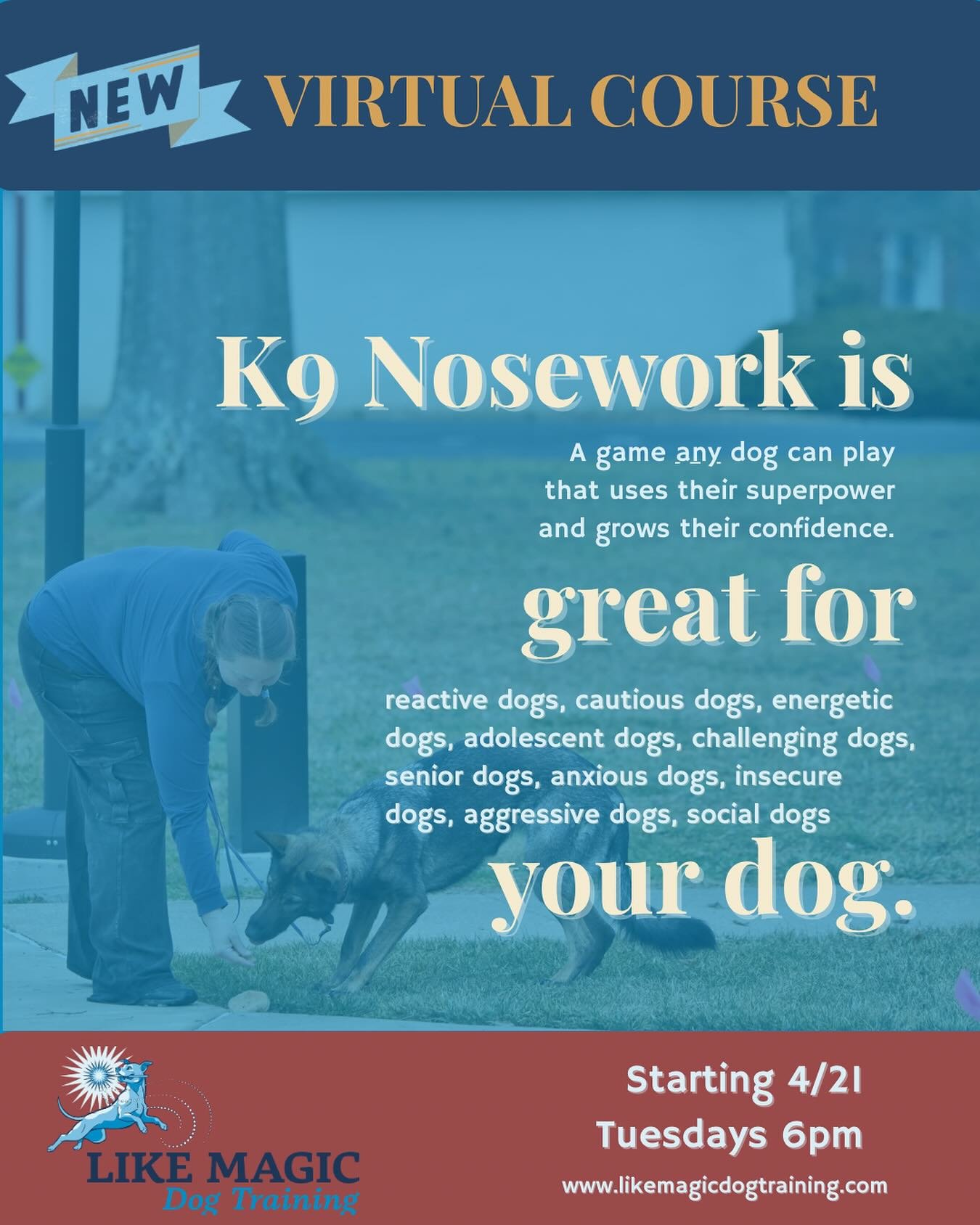 Your dog was built to sniff.

Give them an outlet that builds confidence, focus, and calm.

Intro to Nosework (Online)
Starting April 21
Sign Up at www.likemagicdogtraining.com