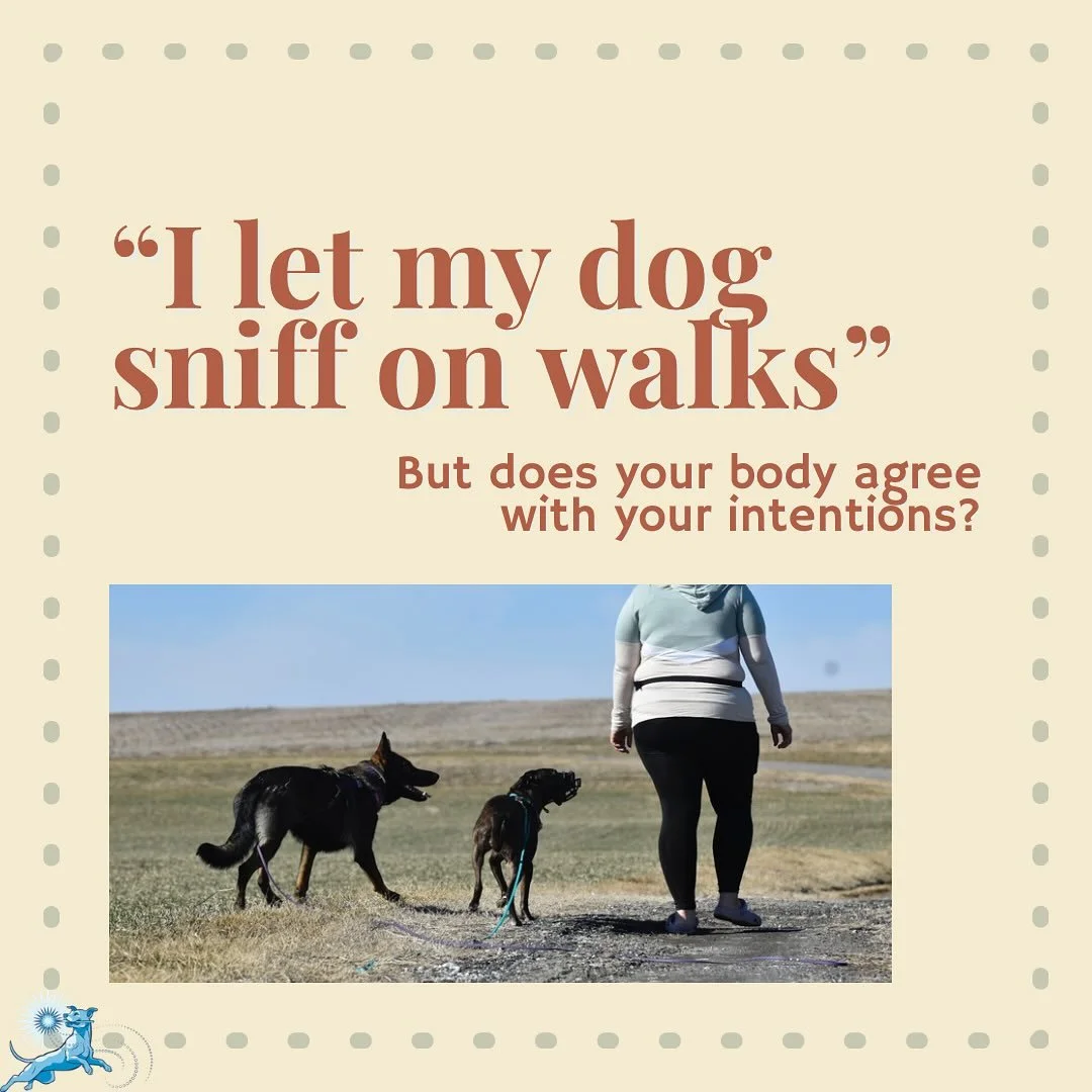 Do you know what your walks look like?