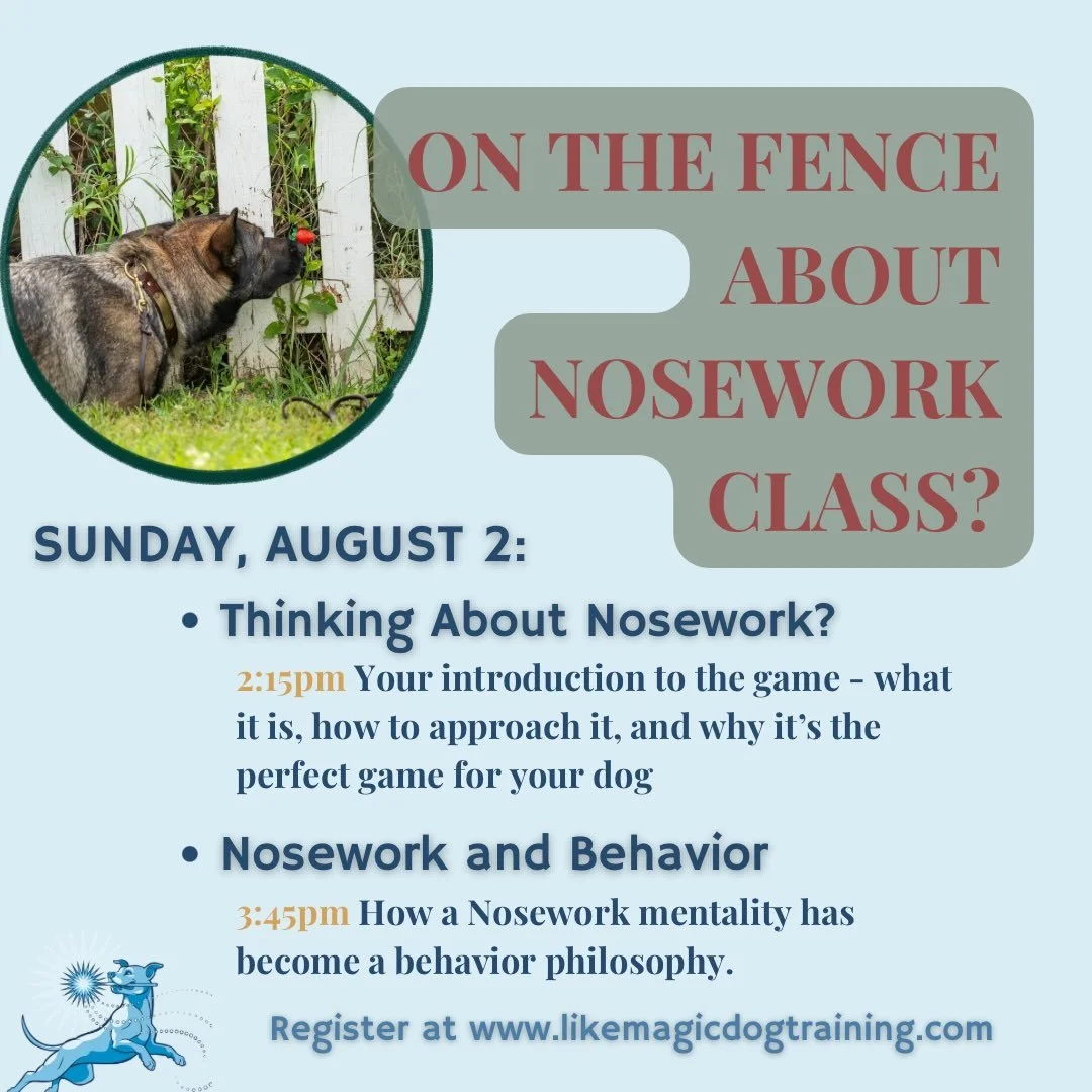 Interested in upcoming Nosework classes but not sure what it&rsquo;s all about? Come out (virtually, you can stay in if you want) and ask questions and talk about smelly stuff with me on Sunday! 

At 2:15, I&rsquo;ll be talking about Nosework the gam