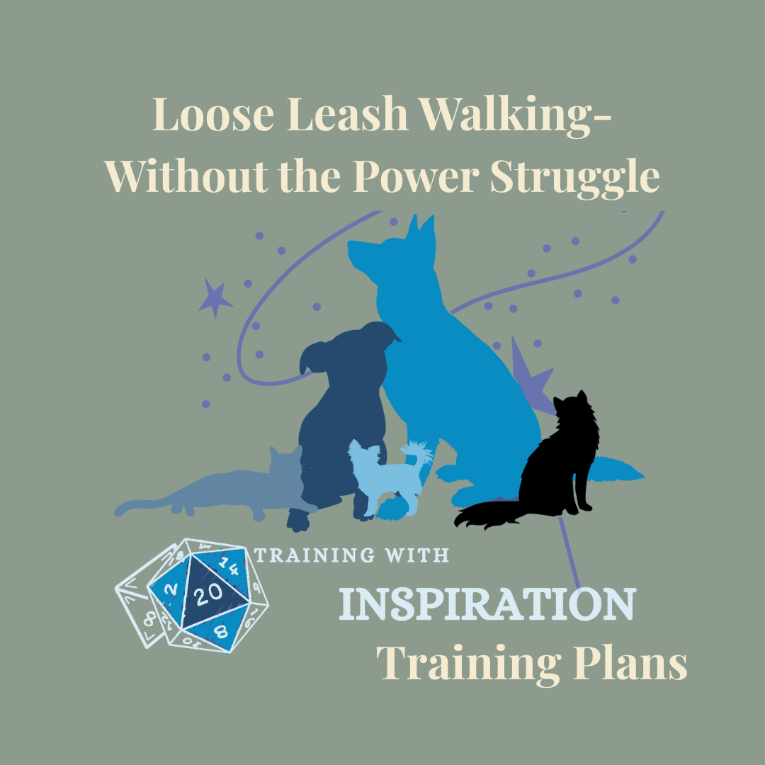 Loose Leash Walking - Without the Power Struggle