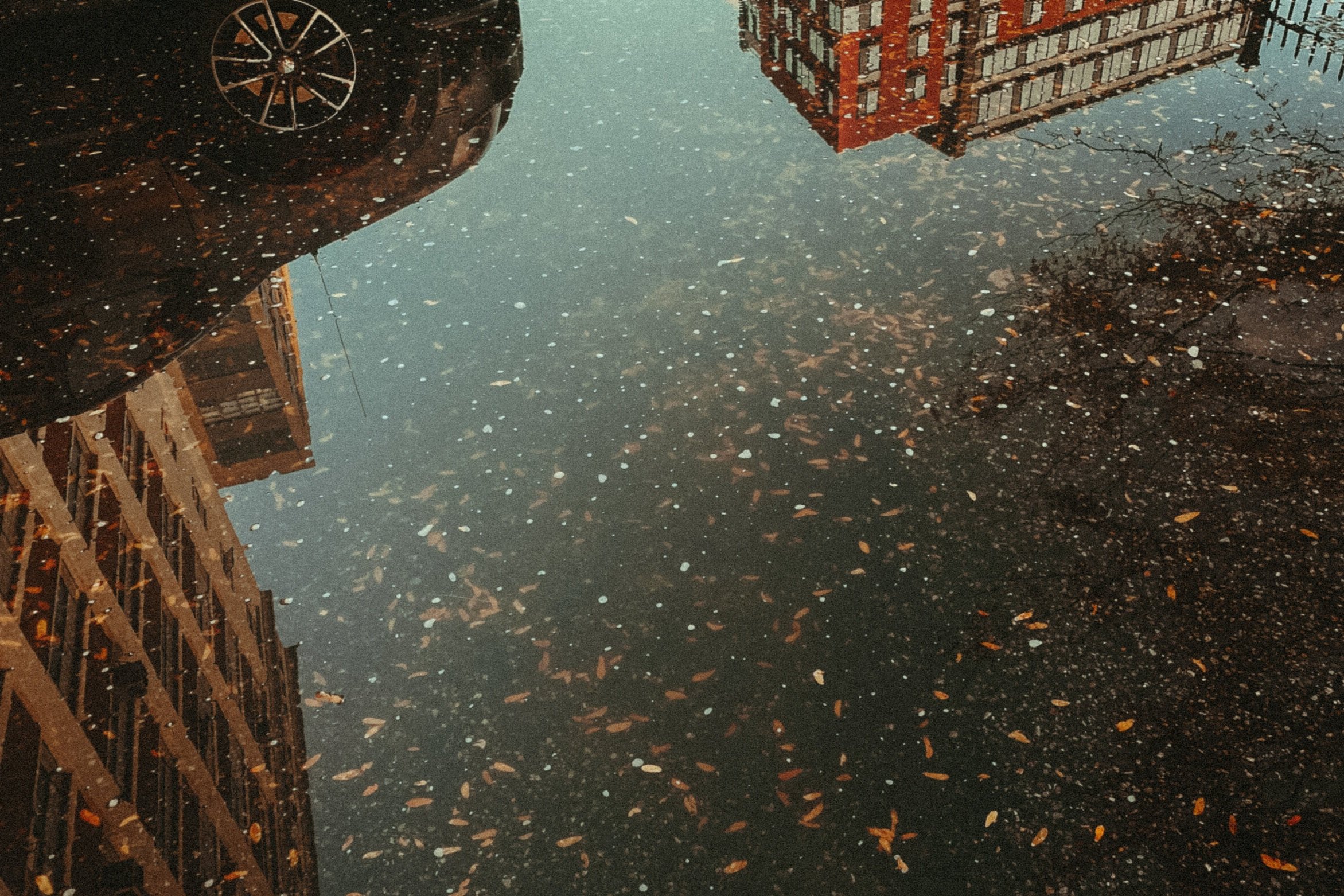 SKY+VIEW.jpg