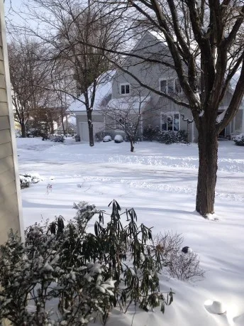 Top Ten Snow Day Activities