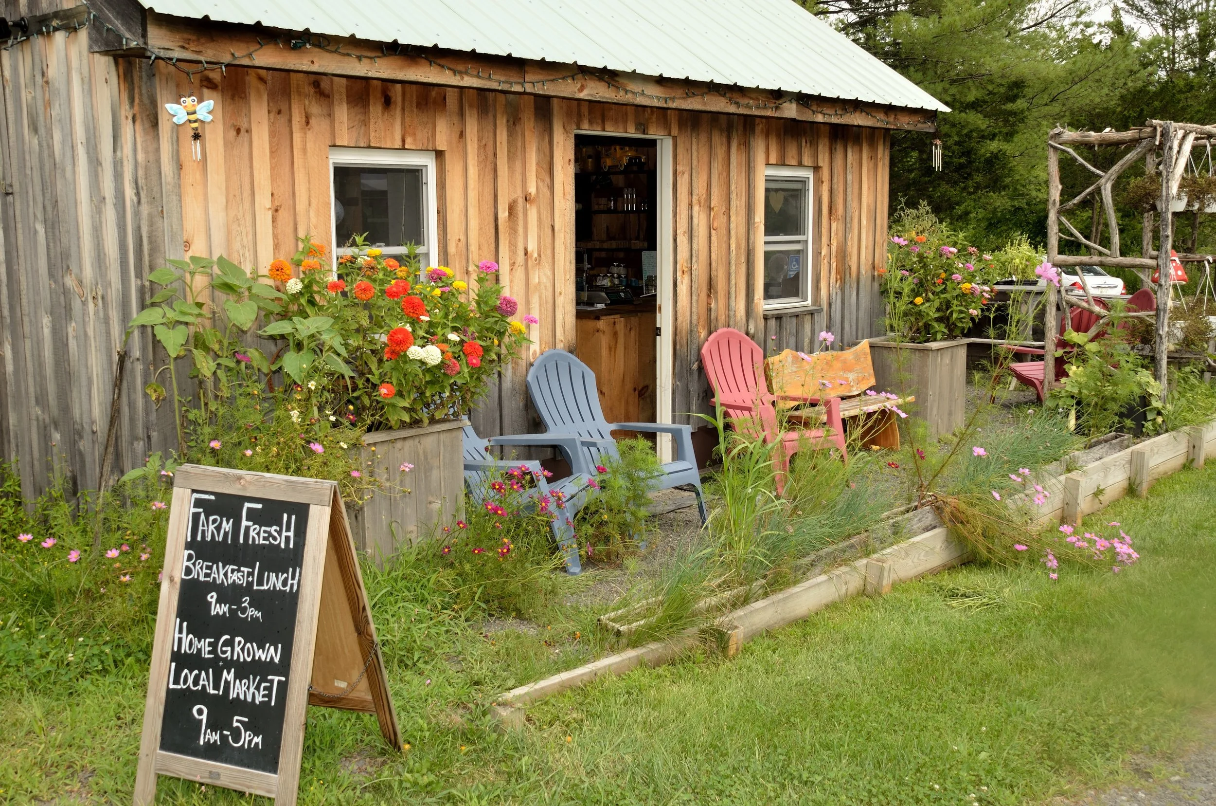 Damn Good Honey Farm: Damn Good Upstate Gem